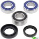 All Balls Rear Wheel Bearing Kit - Husqvarna TC610 TE410 TE610 CR125 CR250 WR125 WR250 WR360