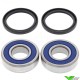 All Balls Rear Wheel Bearing Kit - TM