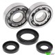 Crankshaft bearings All Balls - Yamaha YZ250