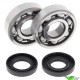 Crankshaft bearings All Balls - Yamaha YZ125 YZ125X