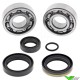 Crankshaft bearings All Balls - KTM 50SX 50SXMini 50SXPROJR Husqvarna TC50 GasGas MC50