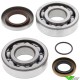 Crankshaft bearings All Balls - GasGas EC200