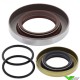 Crankshaft oil seal set All Balls - GasGas EC200