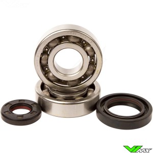 Crankshaft bearing and seal kit Hot Rods - Yamaha YZ250