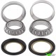 Balhoofdlagers All Balls - Kawasaki KX60 KLX110 Suzuki RM60 DRZ110