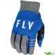 Fly Racing F-16 2024 Kinder Crosshandschoenen - Blauw / Grijs